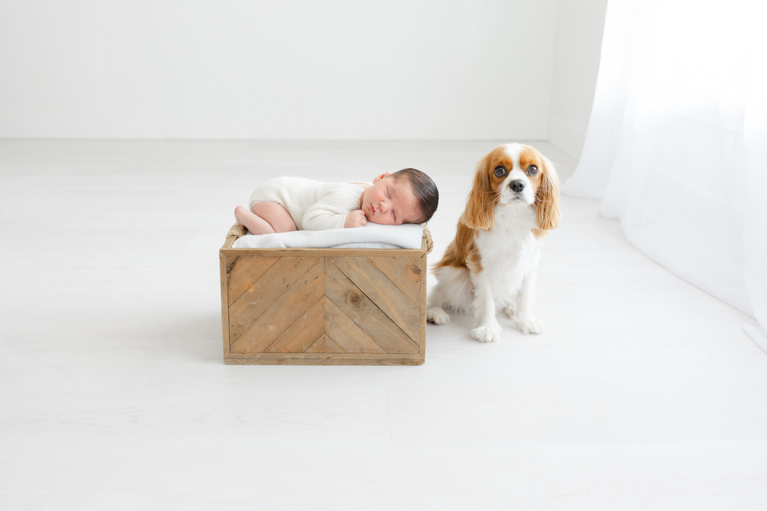 Infant Photography Jacksonville Florida