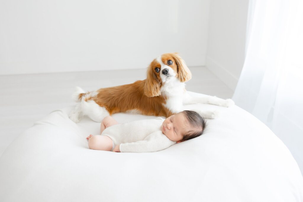 Newborn photographer in Jacksonville featuring newborn with dog